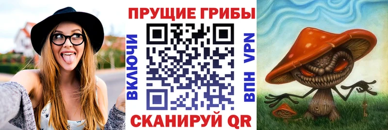 купить   ОМГ ОМГ tor  Псилоцибиновые грибы GOLDEN TEACHER  Десногорск 
